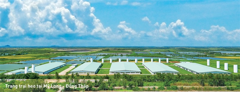 Tập đoàn Mavin công bố Báo cáo Phát triển bền vững năm 2024
