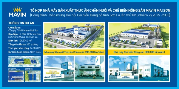 Infographic thông tin Tổ hợp nhà máy Mavin Mai Sơn tại KCN Mai Sơn, Sơn La: TĂCN 200.000 tấn/năm, chế biến nông sản 300.000 tấn/năm, vốn 350 tỷ, khởi công 16/08/2025.