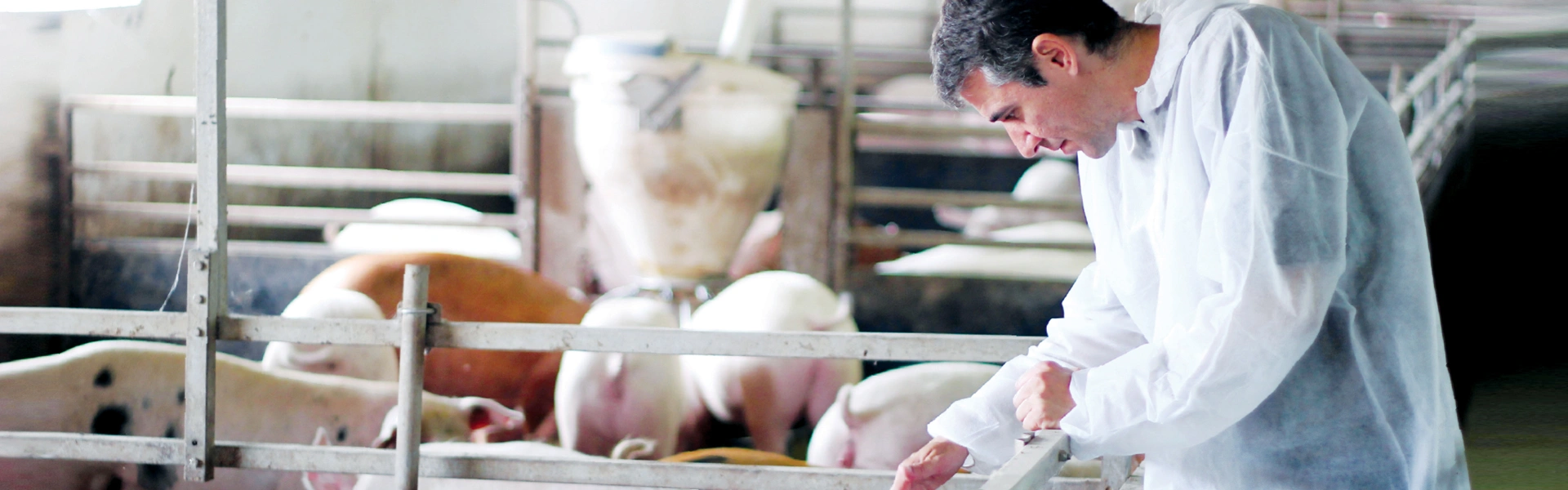 Quản lý chăn nuôi