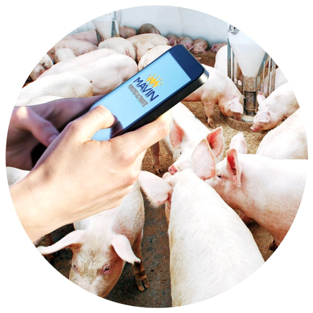 Giải pháp tổng thể