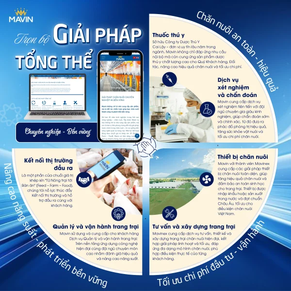 Trọn bộ giải pháp tổng thể cho chăn nuôi an toàn, hiệu quả và bền vững