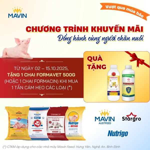 Khuyến mãi Tháng 10 – Tặng thuốc sát trùng Formavet khi mua cám heo Mavin