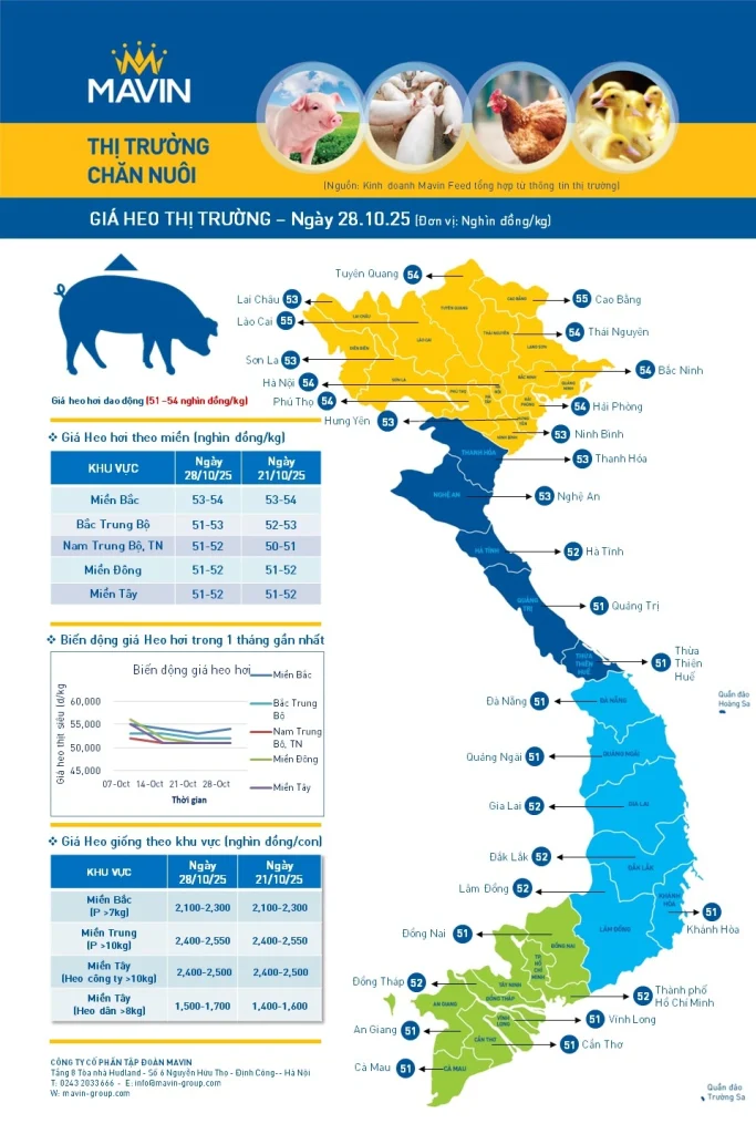 Bản tin giá vật nuôi ngày 21/10/2025