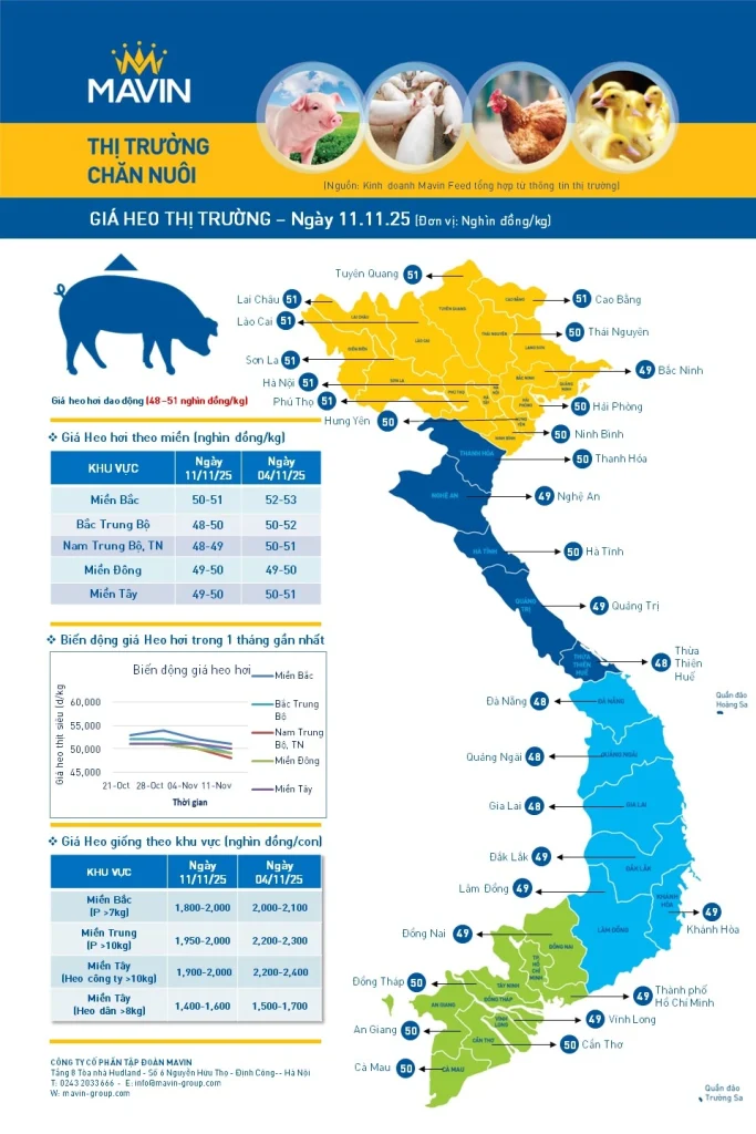 Bản tin giá vật nuôi ngày 11/11/2025