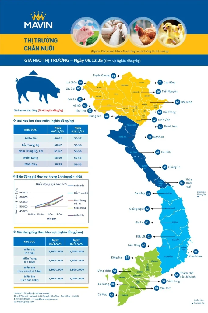 Bản tin giá vật nuôi ngày 09/12/2025