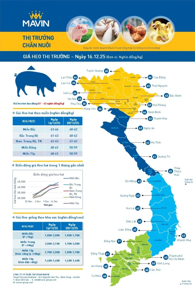 Bản tin giá vật nuôi ngày 16/12/2025