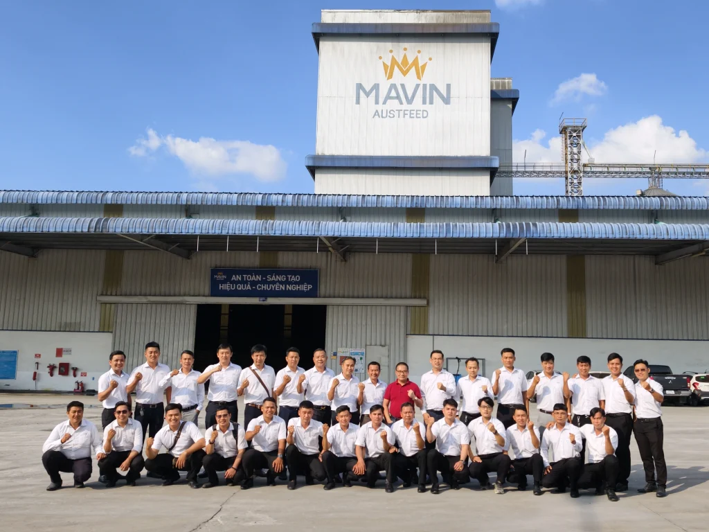 Mavin Feed tổng kết 2025 & Định hướng nhân sự kinh doanh 2026