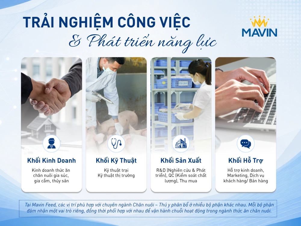 Cơ hội nghề nghiệp cho sinh viên ngành Chăn nuôi – Thú y tại Mavin Feed