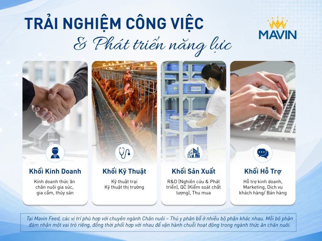Cơ hội nghề nghiệp cho sinh viên ngành Chăn nuôi – Thú y tại Mavin Feed