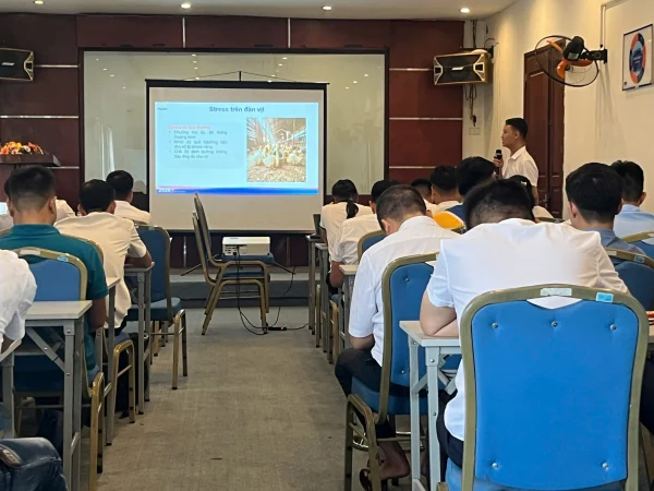 Chương trình đào tạo đội ngũ kinh doanh Mavin Feed về kiến thức chăn nuôi và tư vấn khách hàng