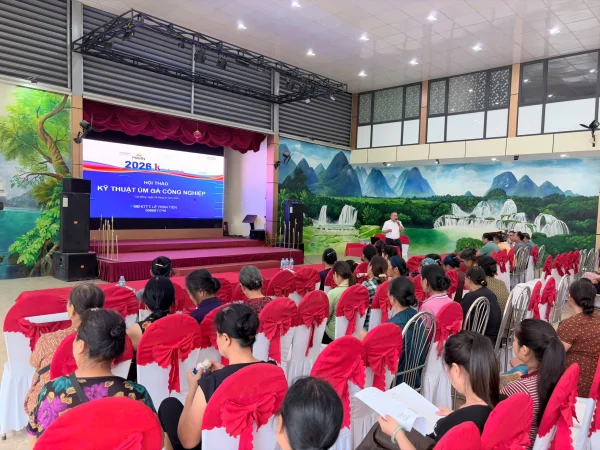 Hội thảo hướng dẫn chăm sóc gà giai đoạn úm tại xã Quảng Uyên, Cao Bằng