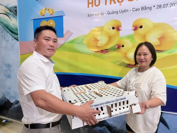 Trao hơn 20.000 gà Mavin Dekalb Brown cho các hộ dân tại Cao Bằng